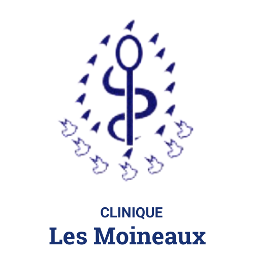 CLINIQUE LES MOINEAUX